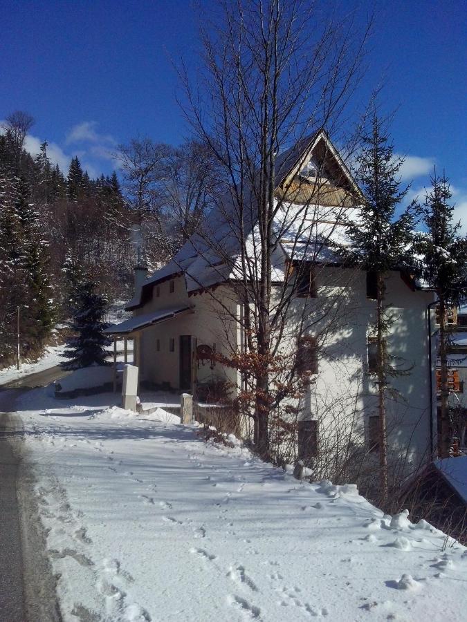 Apartments Dviletov Kutak Копаоник Екстериор снимка