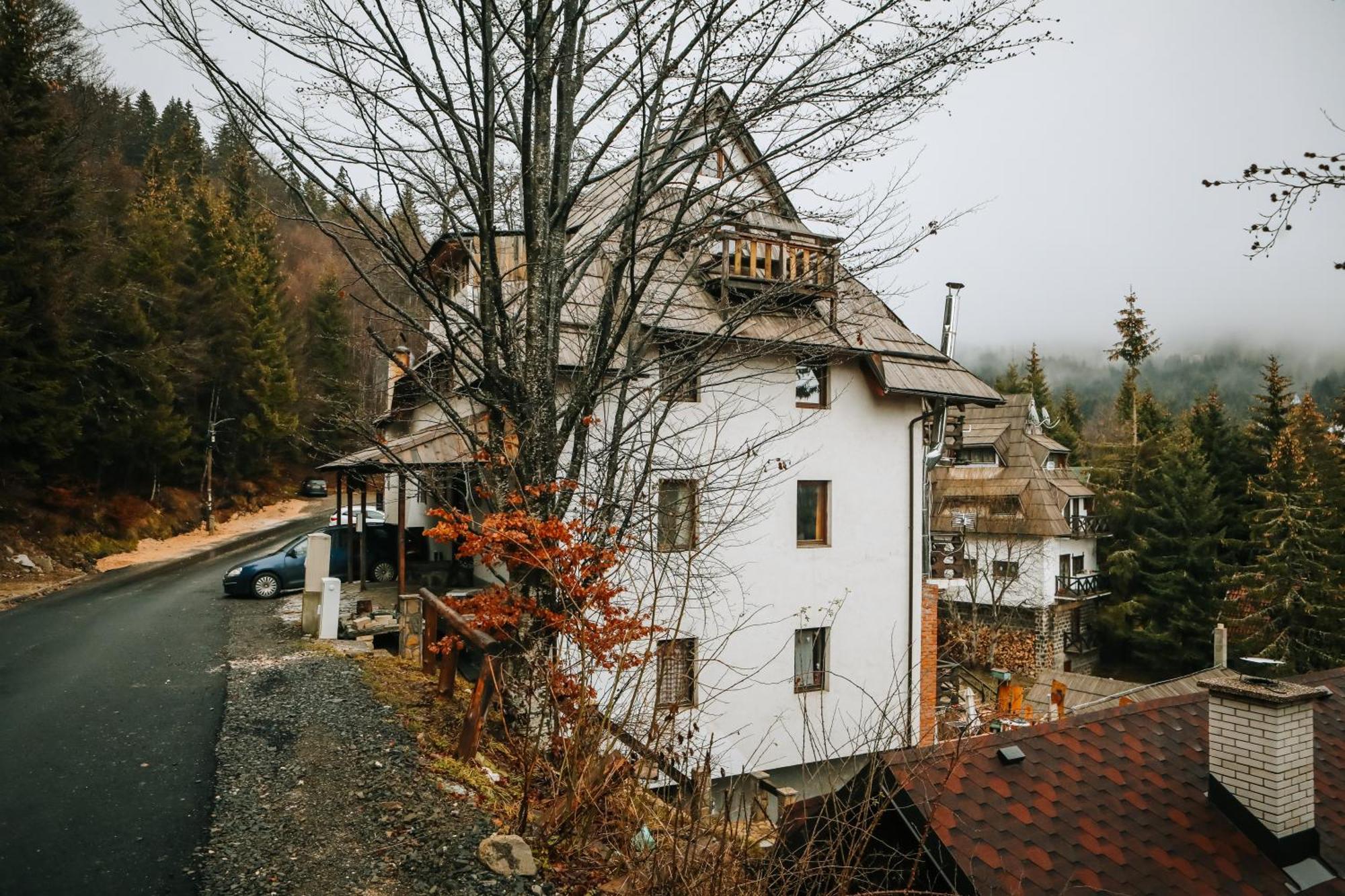 Apartments Dviletov Kutak Копаоник Екстериор снимка